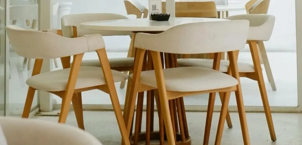 Pexels Photo 17219549